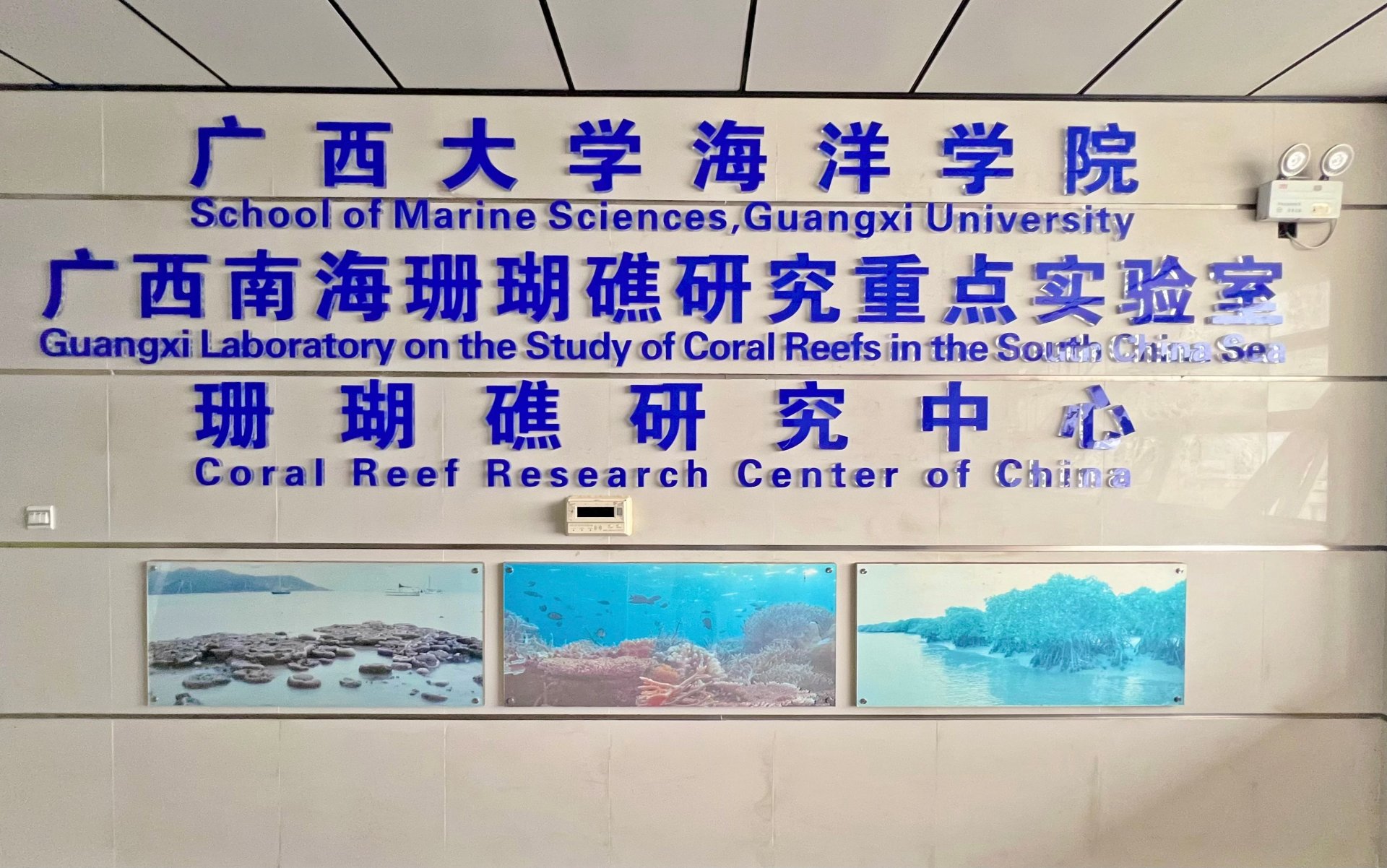 以科学研究