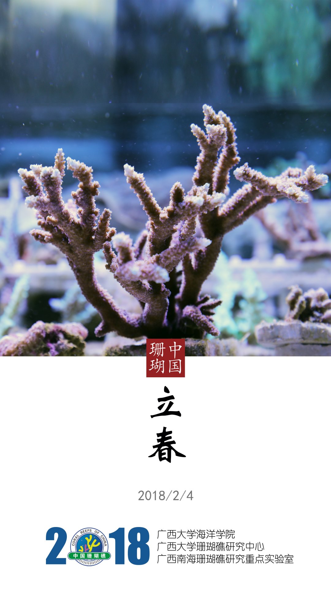 【关闭】