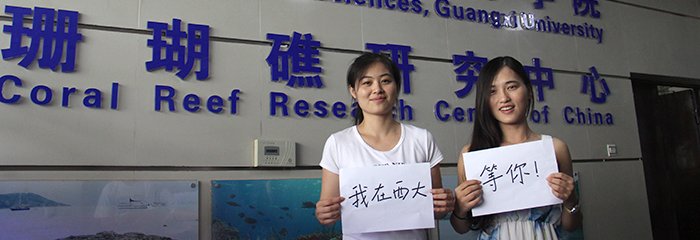 美高梅体育app